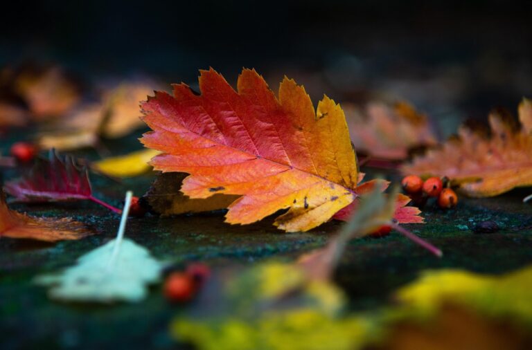 Decorating across the seasons, not just December