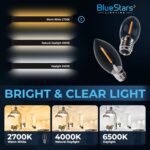 Pack of 6 BlueStars C7 E12 3W LED light bulbs with clear glass, warm white glow, and candelabra base.